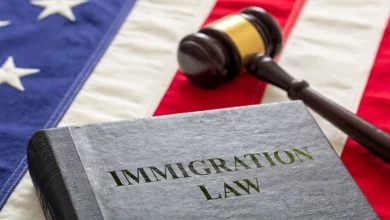 وکیل مهاجرت کیست؟